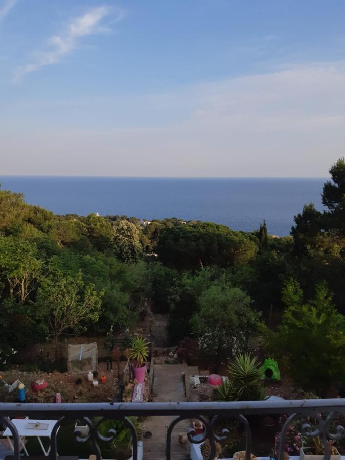 Haut De Villa Au Mont St Clair Vue Exceptionnelle Mer Et Foret Terrasses, Piscine, Petanque, Solarium Prives Sète Exteriör bild