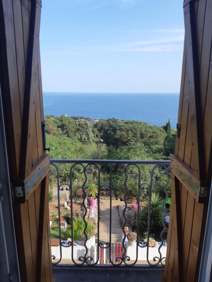 Haut De Villa Au Mont St Clair Vue Exceptionnelle Mer Et Foret Terrasses, Piscine, Petanque, Solarium Prives Sète Exteriör bild