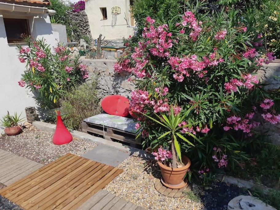 Haut De Villa Au Mont St Clair Vue Exceptionnelle Mer Et Foret Terrasses, Piscine, Petanque, Solarium Prives Sète Exteriör bild